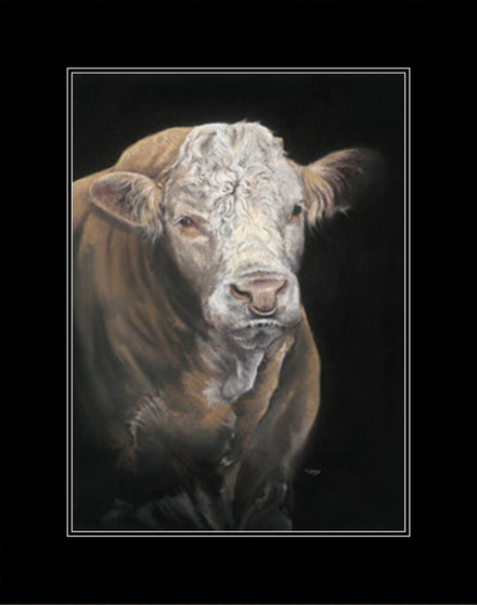 Medium mounted-only. Simmental Bull artwork by Kay Johns