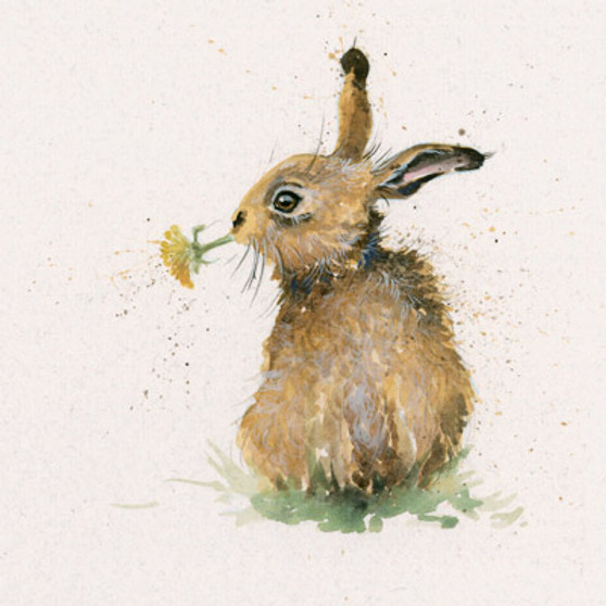 Hare artwork by Kay Johns