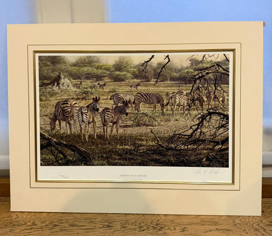  Striped to Confuse - Was £195.00 