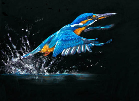 Making a Splash, Kingfisher Original painting, Kingfisher Original Painting by Kay Johns