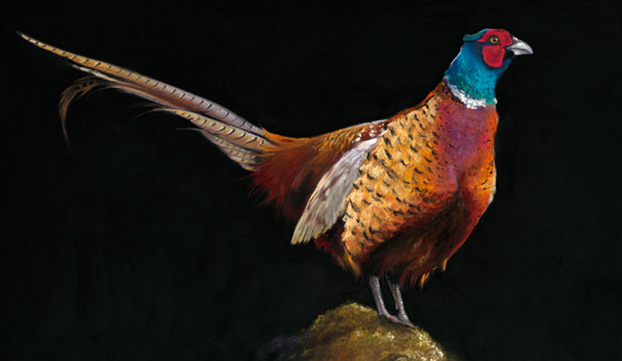 A Pheasant View, Pheasant Original Painting, Pheasant Original Painting by Kay Johns 