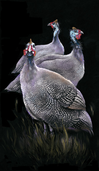 Three Guineas. Guinea Fowl Original Painting, by Kay Johns