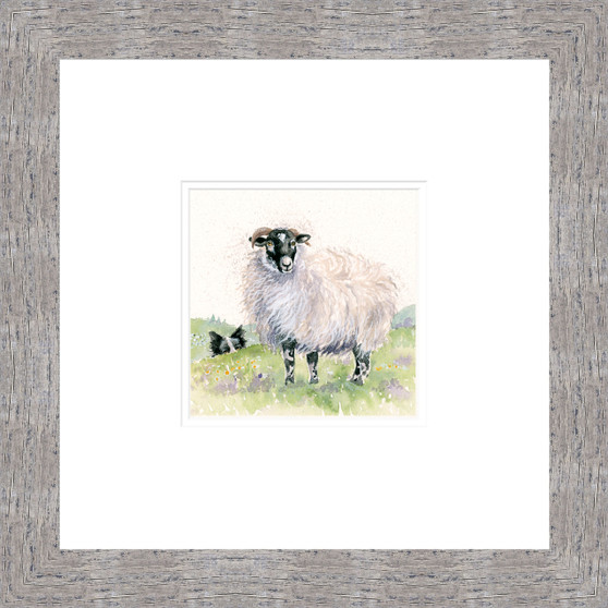 Little Flocker, Swaledale sheep and Border Collie painting by Kay Johns 