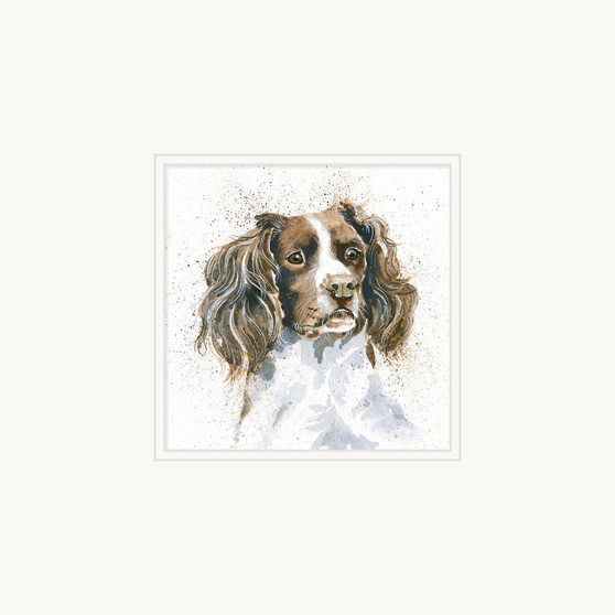 'Sam', Springer Spaniel artwork by Kay Johns