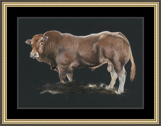 Extra large paper framed image Extra large paper framed image