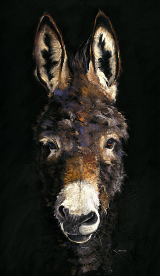 Donkey Artwork by Kay Johns