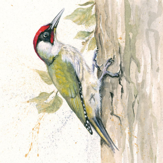 Green Woodpecker original by Kay Johns