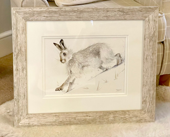 Mountain Hare original, framed in a rustic light grey/white, with a double off white mount.