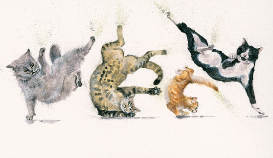 Breakdancing cats original by Kay Johns