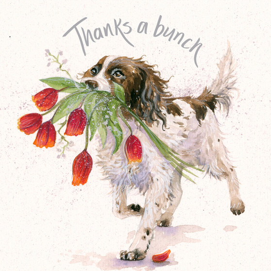 Thanks a Bunch- Springer dog card by Kay Johns - front view