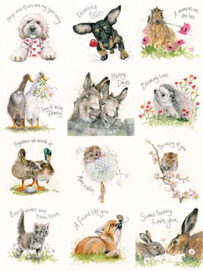 Greeting cards from pack 1, containing 12 different images 