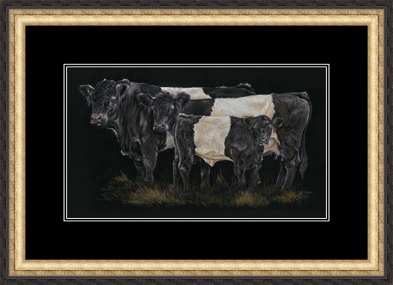 Belted Galloway by Kay Johns 