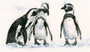 Penguin artwork by Kay Johns