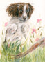 Springer Spaniel by Kay Johns, 