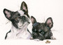 French Bull dogs, painting  by Kay johns