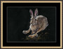 Running hare print by Kay Johns, double black mount, extra large size framed