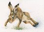 Dashing hare by Kay Johns