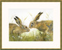 Love is in the Hare by Kay Johns