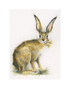 Just Dandy by Kay Johns. Hare Painting