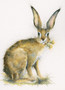 Just Dandy by Kay Johns. Hare Painting