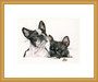 French Bull dogs, painting  by Kay Johns. Small gold framed version