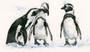 Twos Company by Kay Johns. Penguins, Penguin Painting