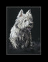 West Life by Kay Johns. West Highland White Terrier