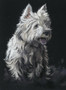 West Life by Kay West Life by Kay Johns. West Highland White Terrier