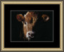  Ring Leader Small Framed - WAS £195.00 