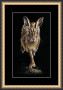 A dynamic wildlife print of a hare in mid-stride, captured with intricate detail. shown in a black and gold frame 