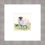 Little Flocker, Swaledale sheep and Border Collie painting by Kay Johns 