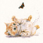 Ginger kitten original artwork by Kay Johns