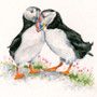 Puffin artwork by Kay Johns