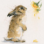 'Cotton Tail' artwork by Kay Johns, 