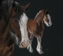 Shire mare and foal artwork by Kay Johns