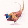 Pheasant artwork by Kay Johns