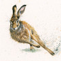 Hare artwork by Kay Johns