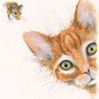 Cat and mouse painting by Kay Johns