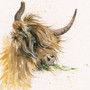 Highland cattle, hand embellished limited edition print by Kay Johns