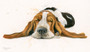 Bassett hound painting by Kay Johns