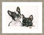 French Bull dogs, painting  by Kay Johns. Large grey framed version