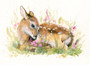 Fawn artwork by Kay Johns 