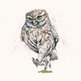 Owl Be Back, owl artwork by Kay Johns