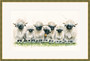 Swiss Valais black nosed sheep large gold framed