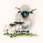'Happy Valais' Valais Blacknose Sheep artwork by Kay Johns