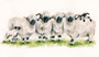 'Ram A Lamb A Ding Dong' Valais Blackness Sheep artwork by Kay Johns