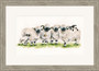 'Ram A Lamb A Ding Dong' Valais Blackness Sheep artwork by Kay Johns. Grey frame, size medium