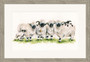 'Ram A Lamb A Ding Dong' Valais Blackness Sheep artwork by Kay Johns. Grey frame, size large