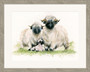 'Ewe Me and Him'  Valais Blacknose Sheep artwork by Kay Johns, Grey frame size large