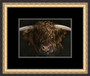 Highland bull painting by Kay Johns 